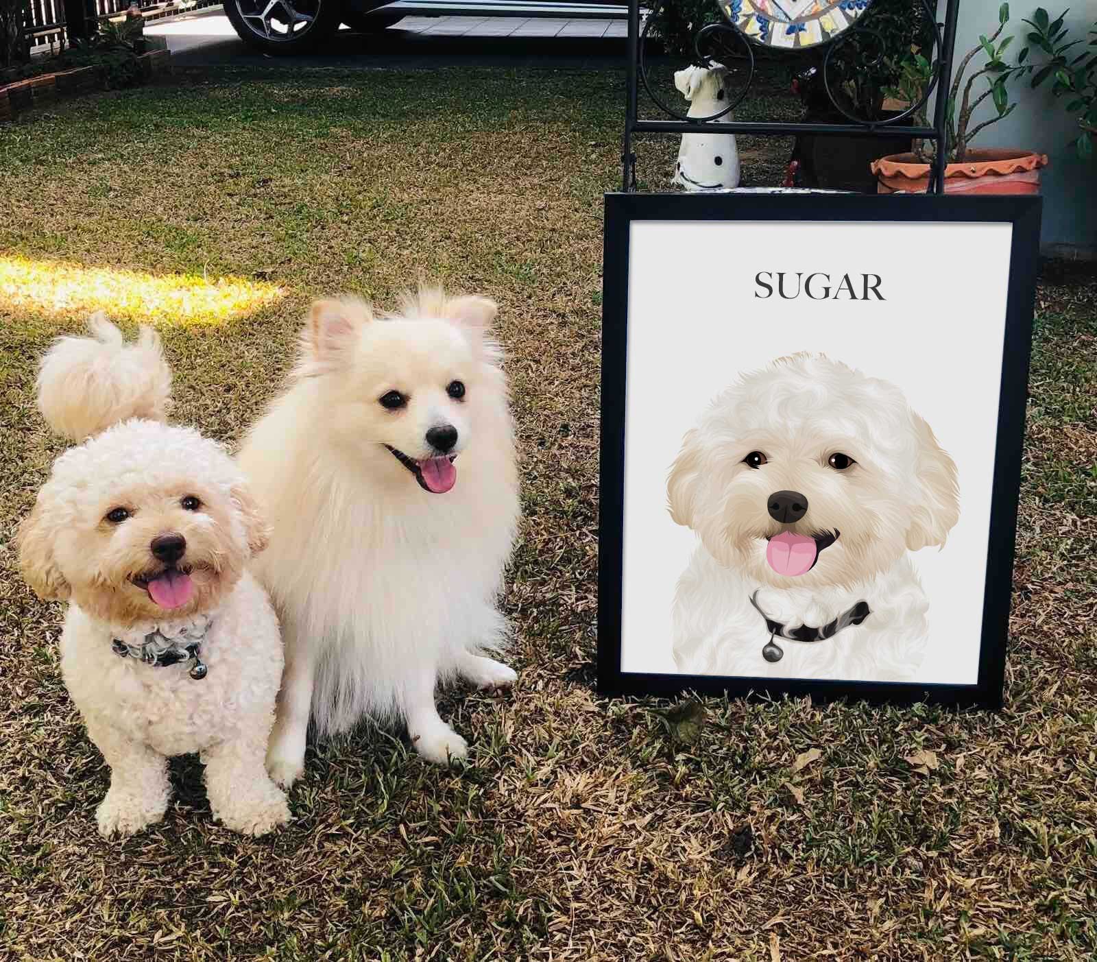 Custom Pet Portraits - Luxtopaz